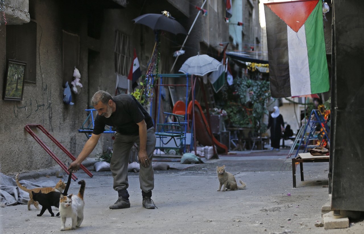 A man plays with cats in a street in the Palestinian camp of Yarmuk southern Damascus (AFP)