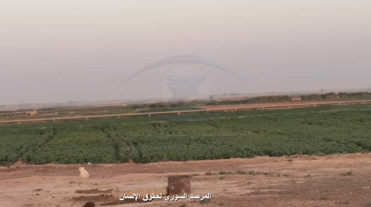 عدسة المرصد السوري: ارتفاع منسوب مياه النهر الفرات وتدفق المياه في القنوات الزراعية في ريف الرقة