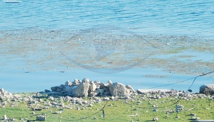 انحسار مياه نهر الفرات لمستويات قياسية في مجراه ضمن مناطق شمال وشرق سوريا12