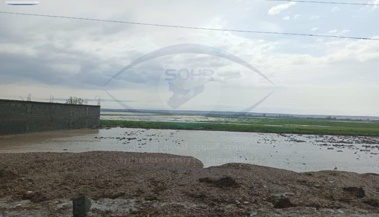 أضرار بالمحاصيل الزراعية بسبب هطول الأمطار وسيلان الأودية في بلدة حوائج ذياب بريف دير الزور الغربي5