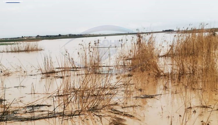 الأمطار الغزيرة تغرق آلاف الهكتارات من الأراضي الزراعية في ريف الرقة3