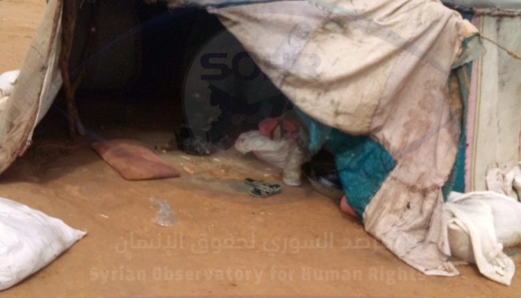 كارثة إنسانية تجتاح مخيم الشلاش شمالي الرقة18