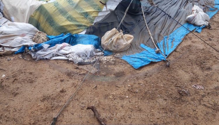 كارثة إنسانية تجتاح مخيم الشلاش شمالي الرقة26